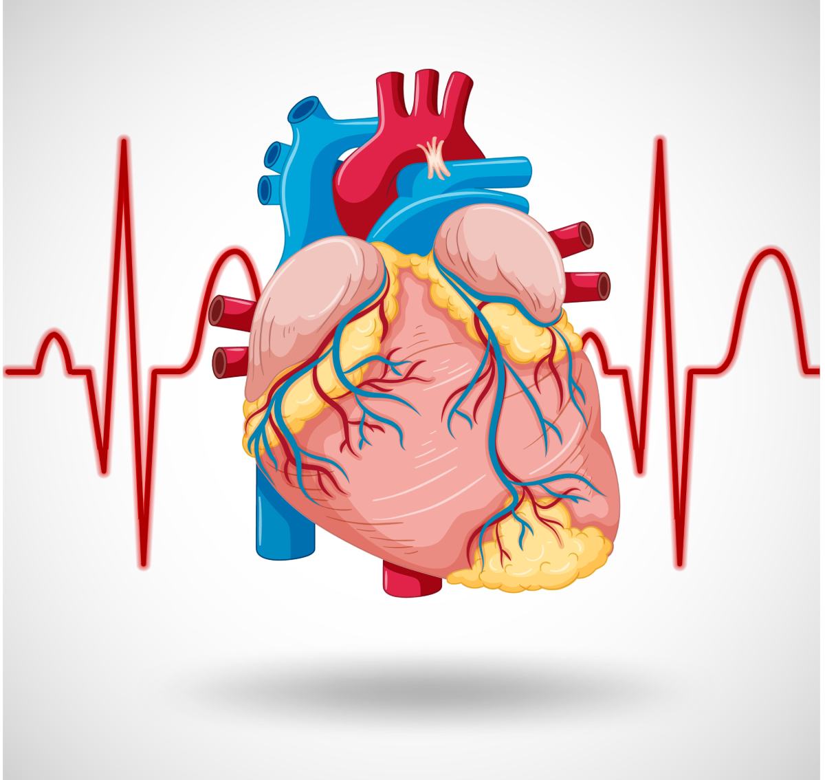 Los mejores Cardiólogos clínicos en Iztapalapa CDMX